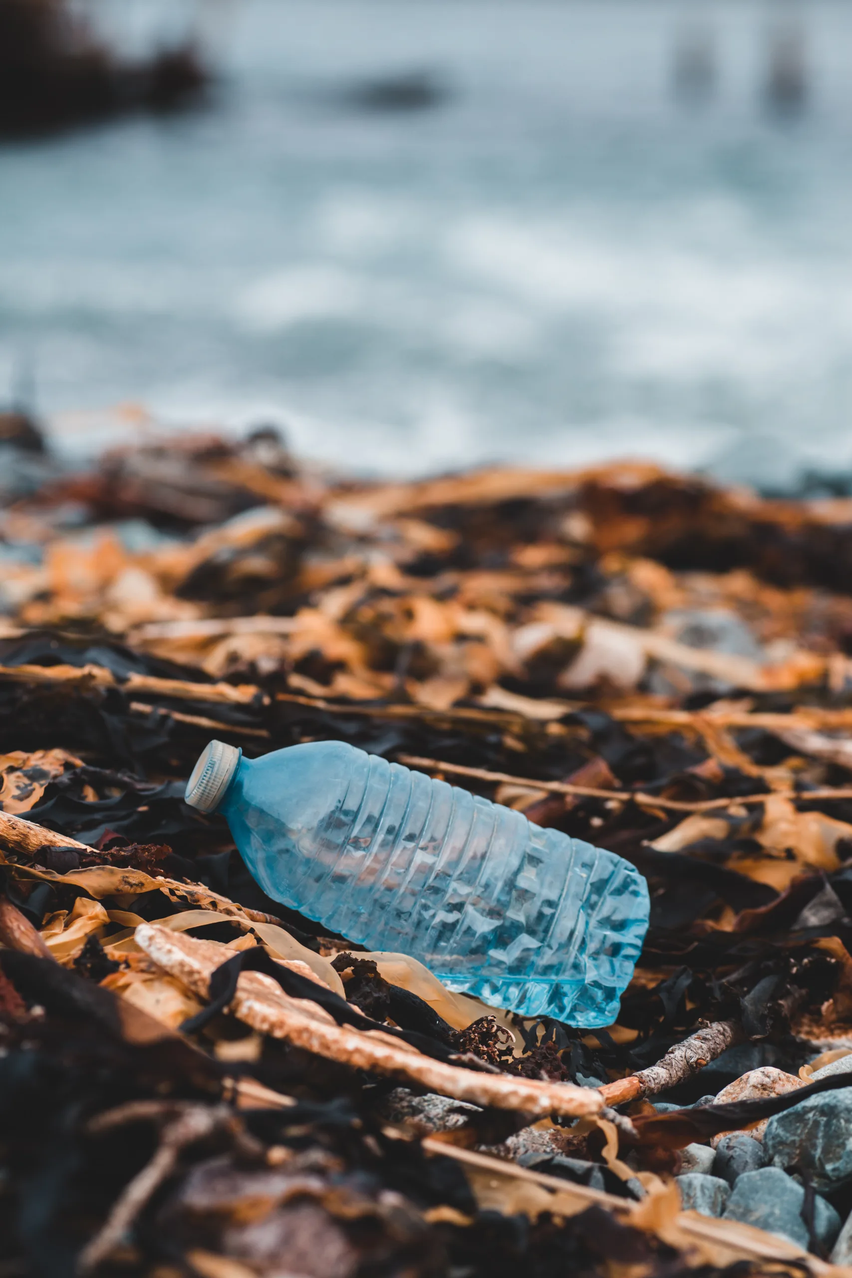 erik-mclean-GjCx5KhulZI-unsplash